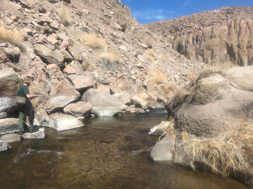 Runs, pockets and pools offer the best fly fishing for wild brown trout that call the Owens River Gorge section home.