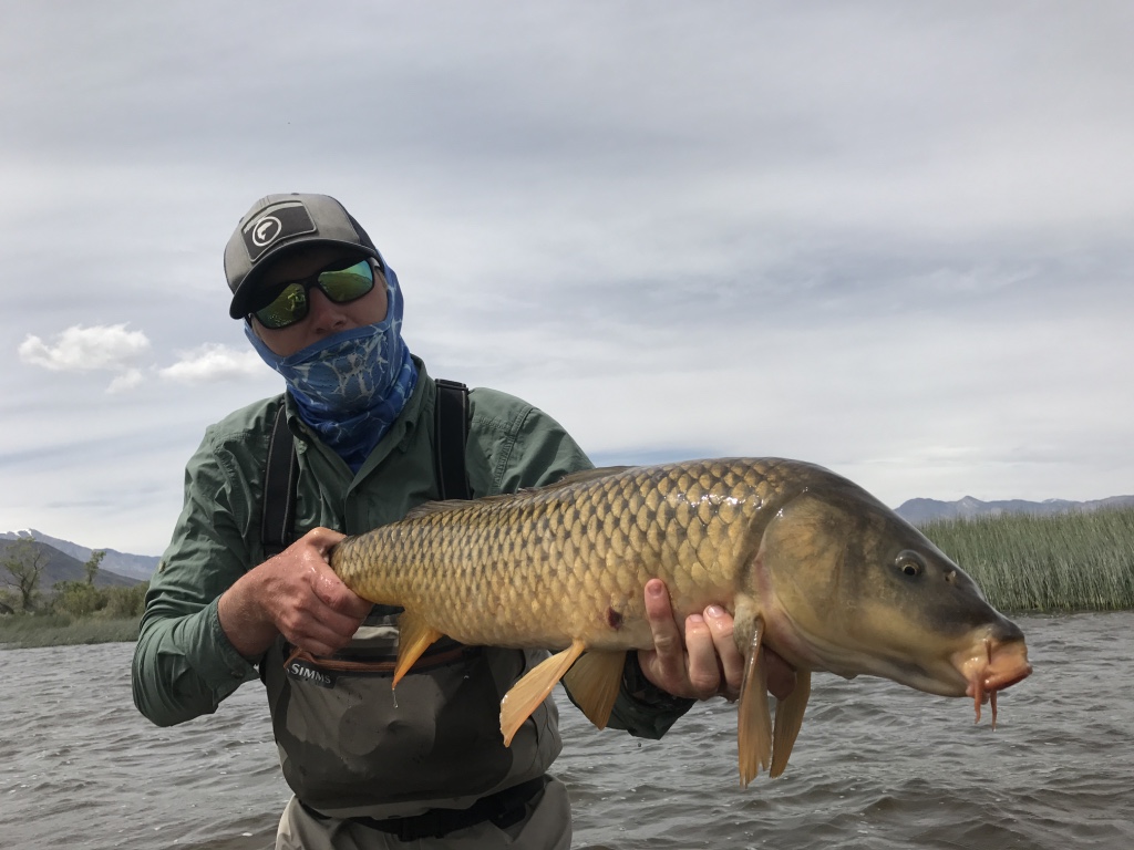 To fool a carp on a fly rod requires stealthy wading, accurate fly presentation and a little bit of luck.