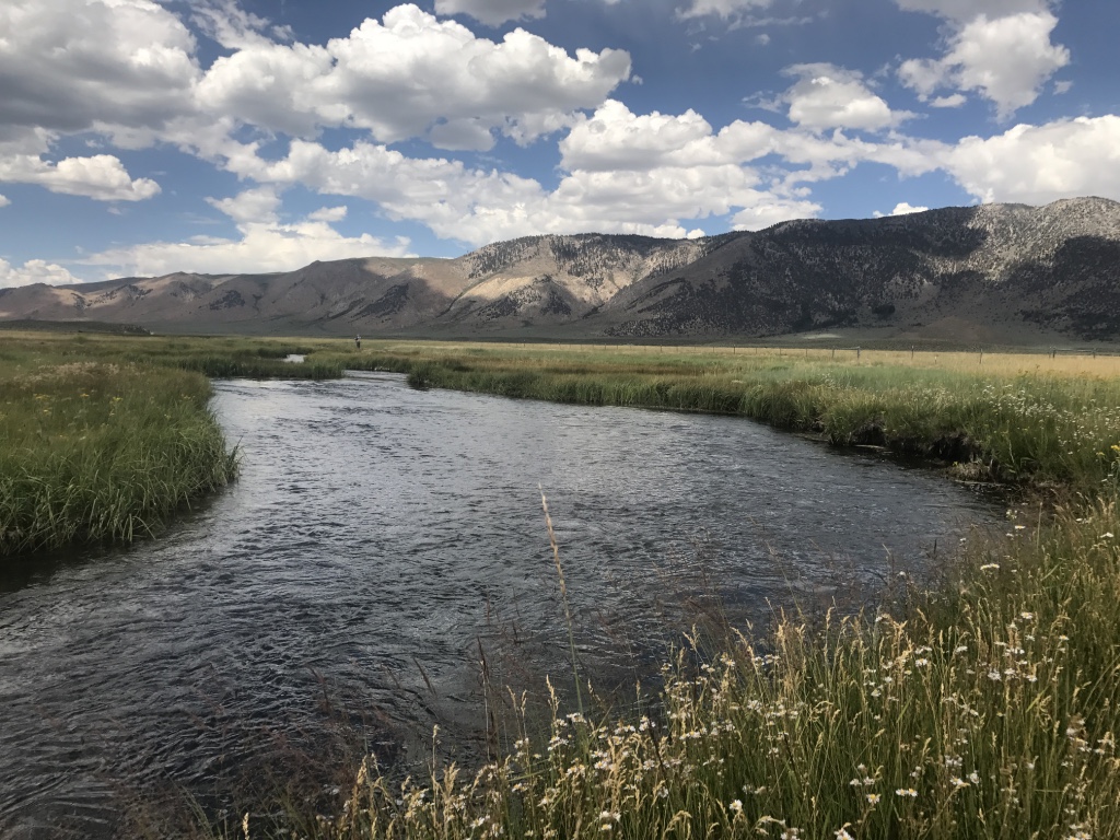 The upper Owens River meanders through alpine meadows, making it a great spot for beginner fly fishers and experts alike.