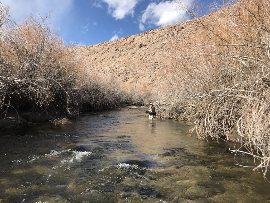 The power plant section of the lower Owens River is heavily lined with willows restricting access to fly fishers willing to wade in the river bed.