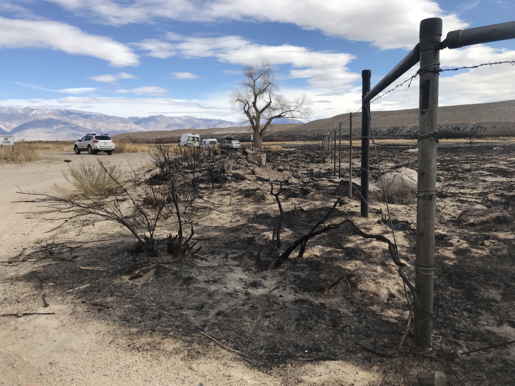 Gates 1 and 2 are the two most popular fly-fishing gates on the lower Owens River.