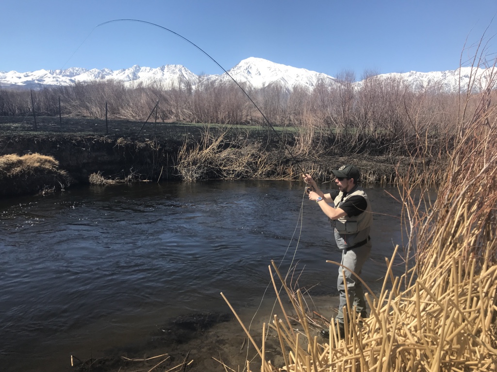 Warm days are the norm when fishing on the lower Owens River in the winter time.