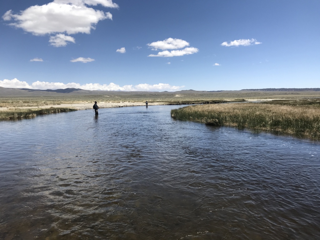 The mouth of the upper Owens River, where it enters Crowley Lake, is a great place to fish for migrating trout entering the river.