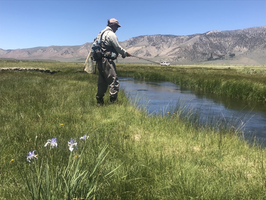 Springtime on the upper Owens River is about the first hatches of the season and spring flowers.