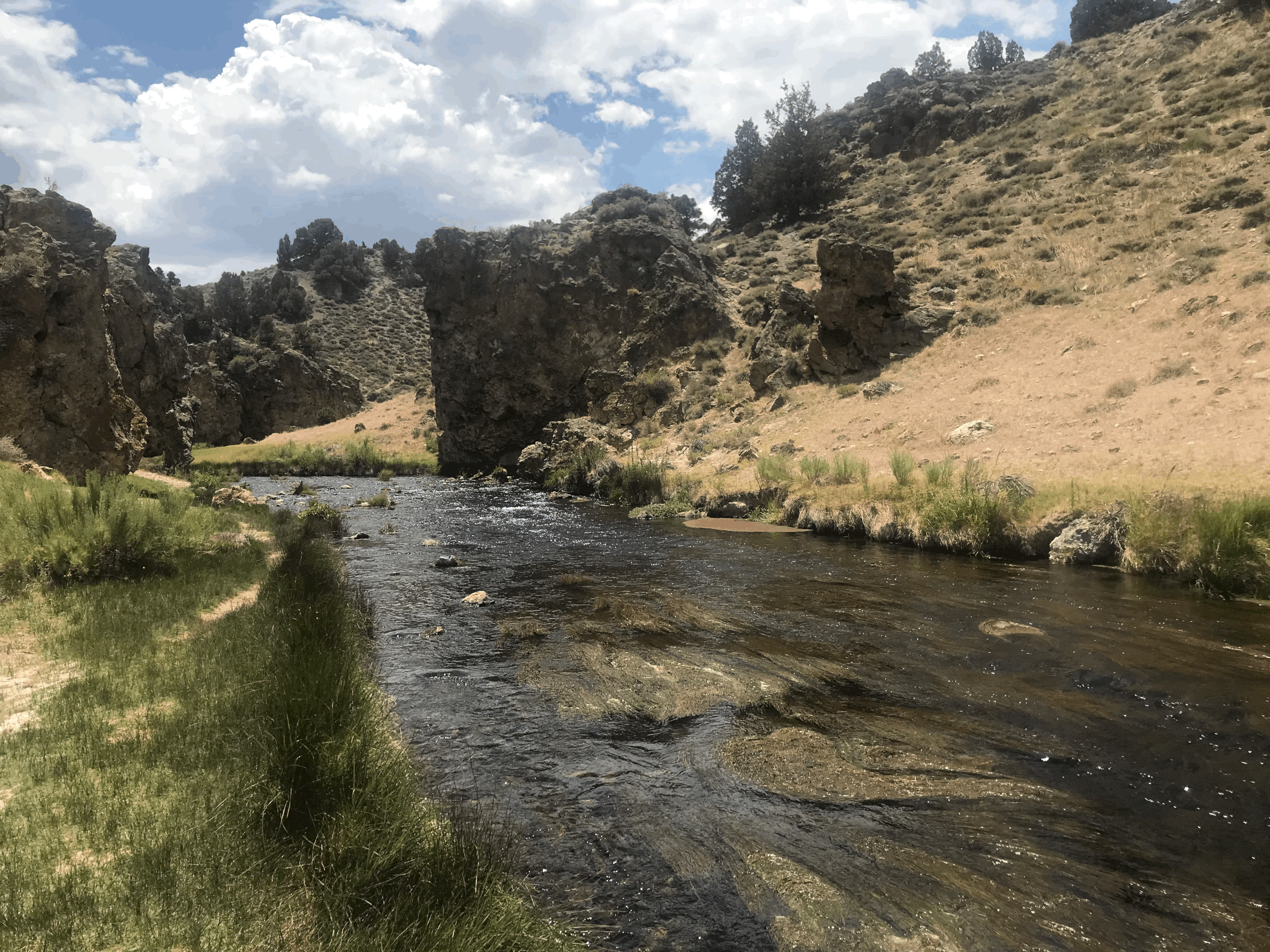 tempImageJwXky8.gif
