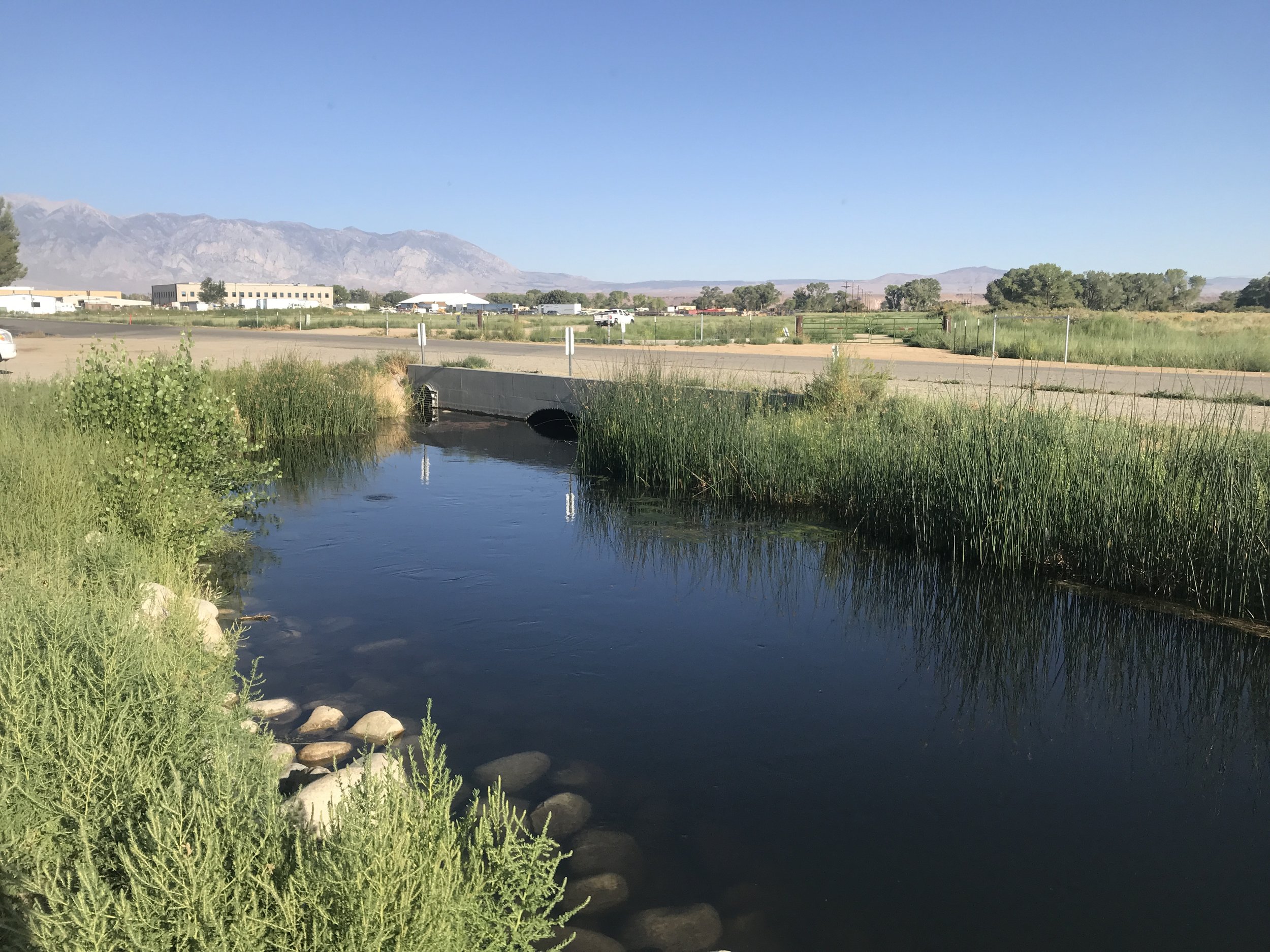 Sierra Bright Dot Fly Fishing Report – August 26, 2022 8 image 2