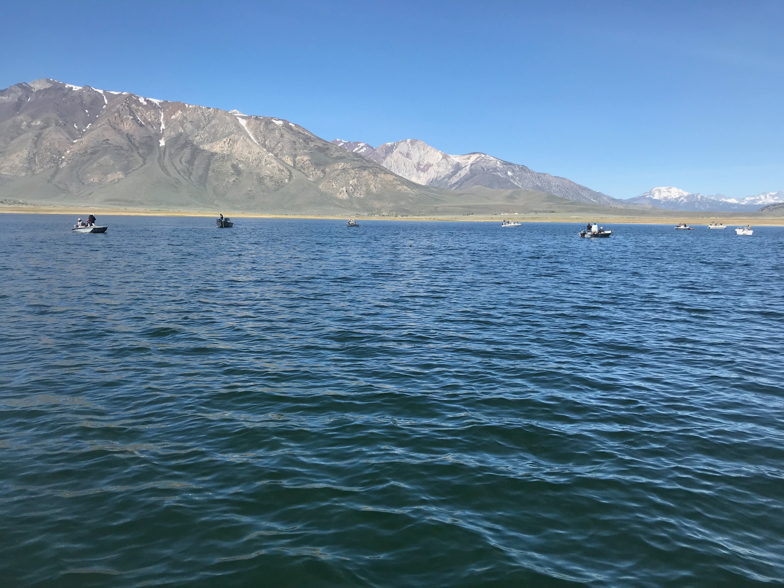 Sierra Bright Dot Fly Fishing Report - June 17, 2022 8 IMG 8724