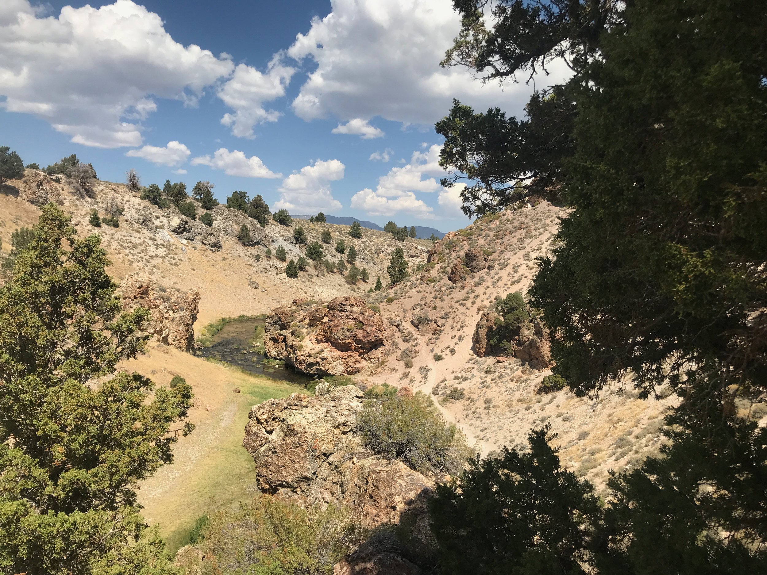 Sierra Bright Dot Fly Fishing Report – October 14, 2022 6 IMG 0341+2