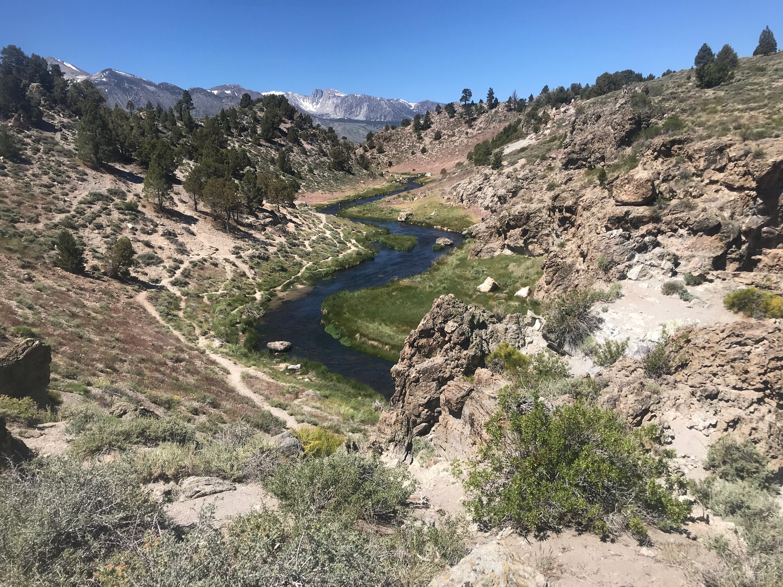 Sierra Bright Dot Fly Fishing Report - June 17, 2022 6 IMG 8984