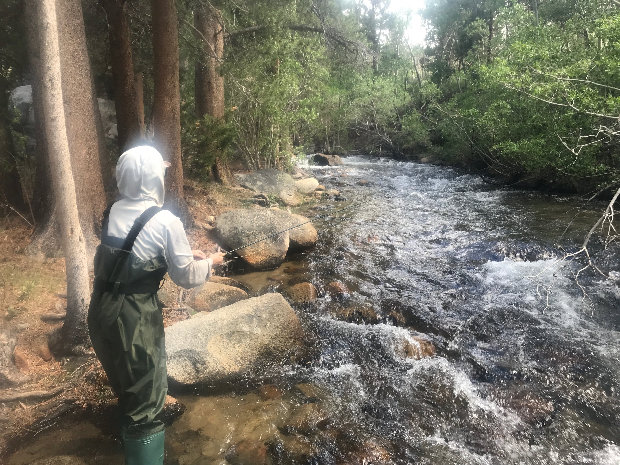 Sierra Bright Dot Fly Fishing Report - June 17, 2022 3 IMG 9206