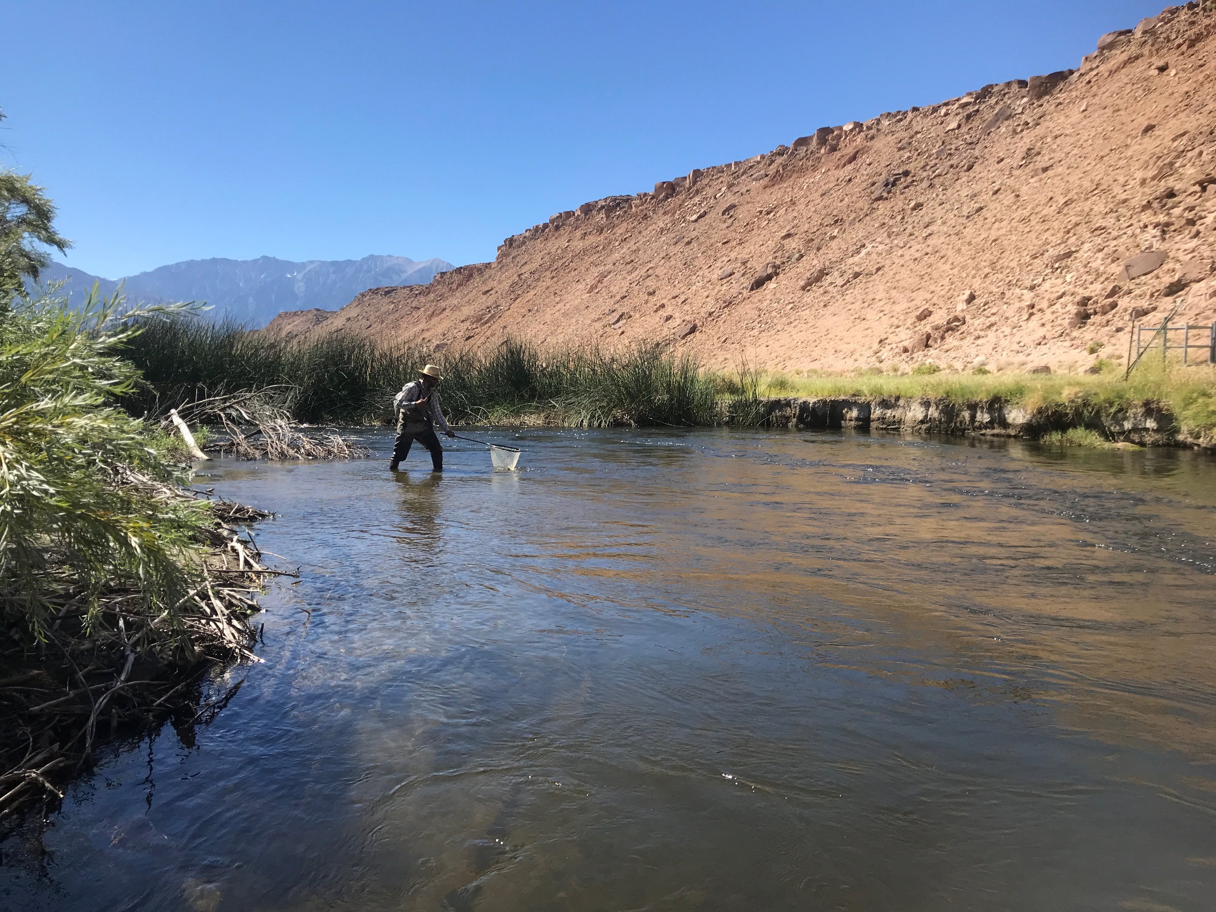 Sierra Bright Dot Fly Fishing Report 09-08-2023 — Sierra Bright Dot