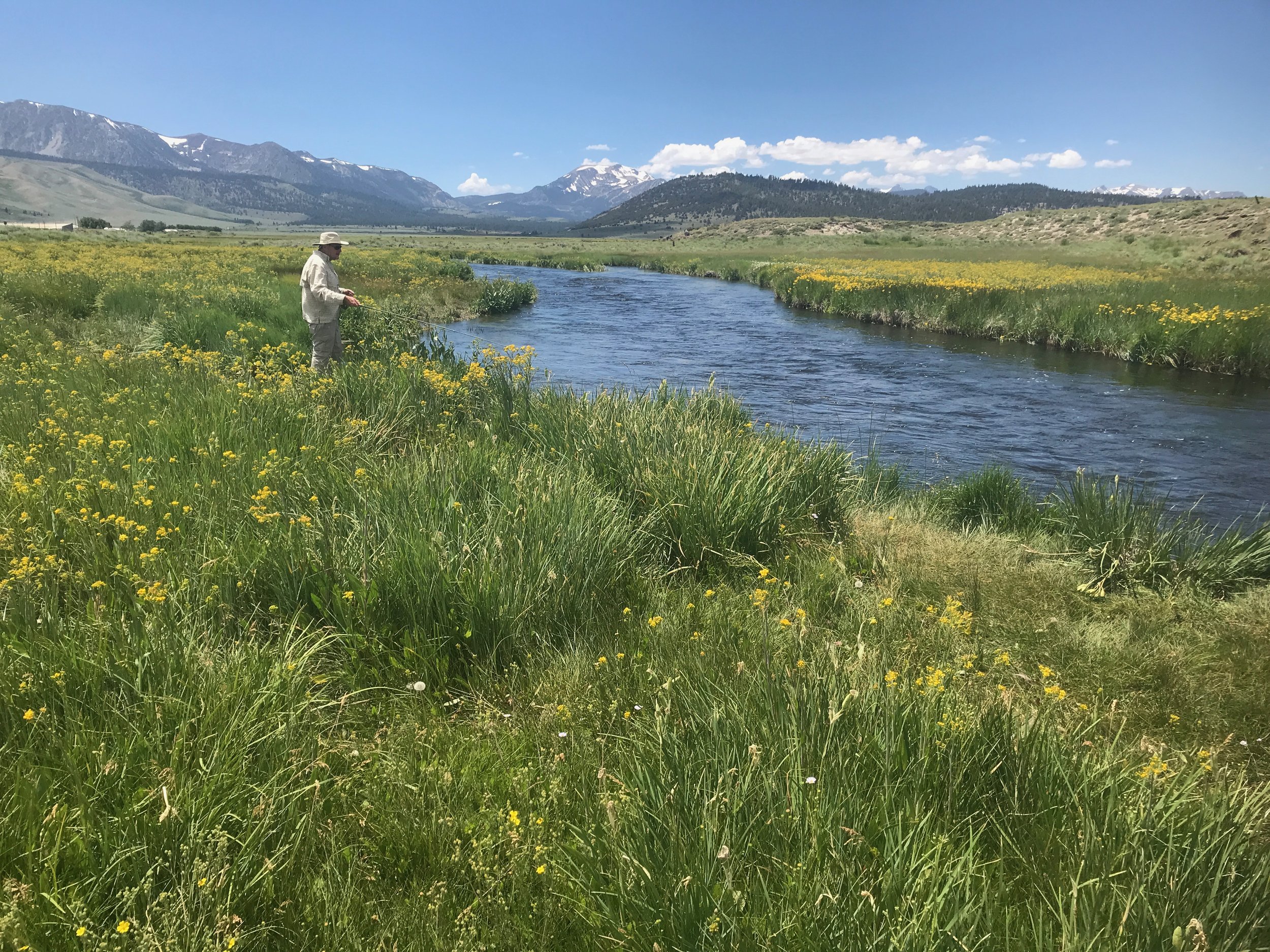 Wade Fishing  Mountains to Marsh