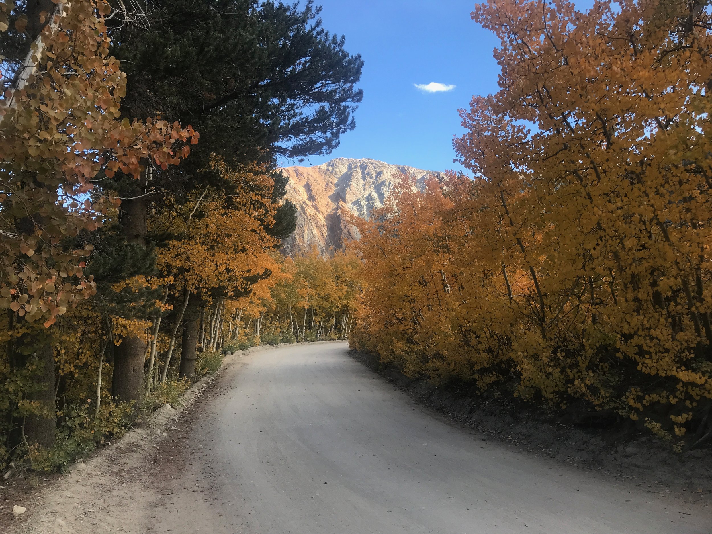 Sierra Bright Dot Fly Fishing Report – October 14, 2022 2 IMG 0861