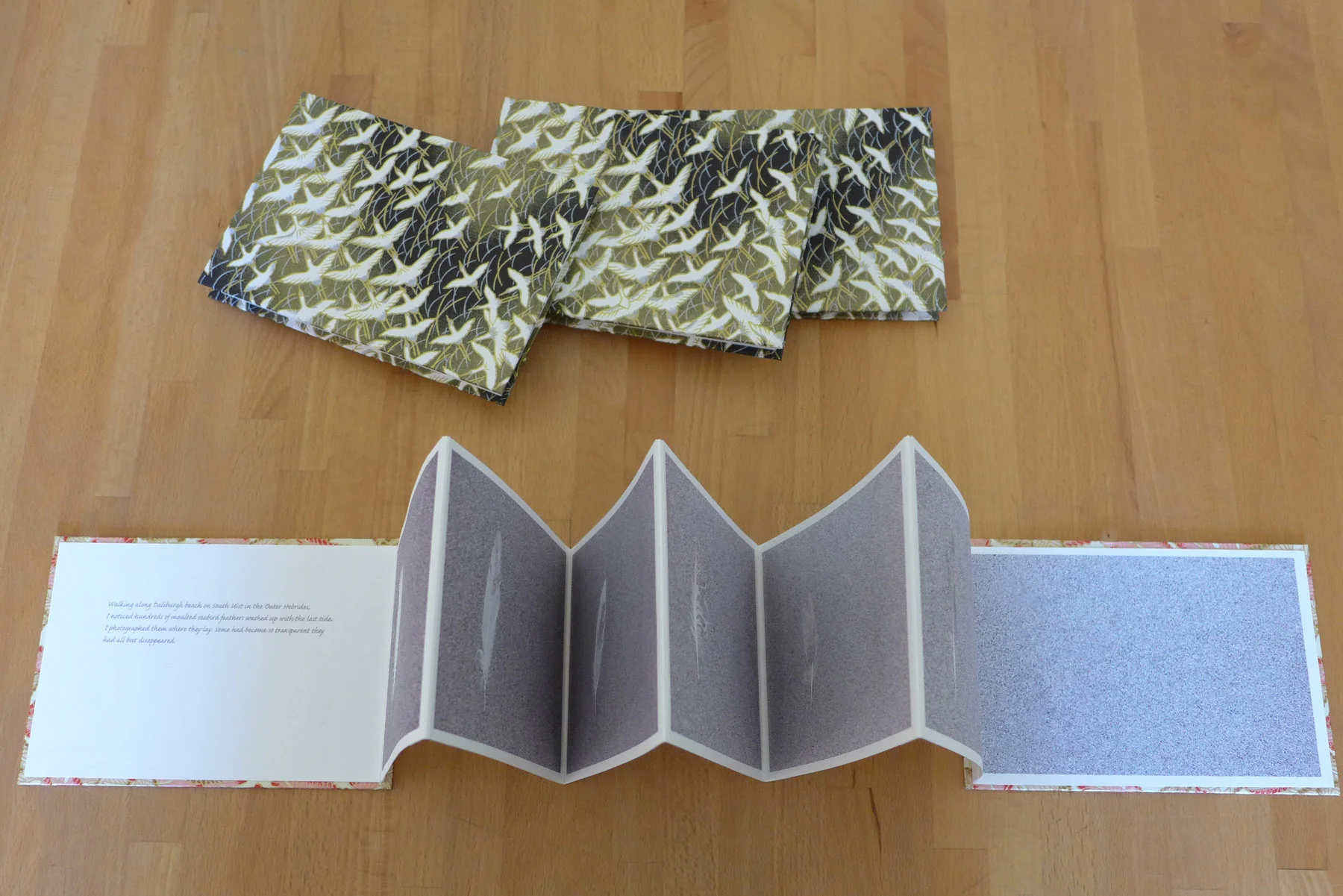 Feathers concertina books