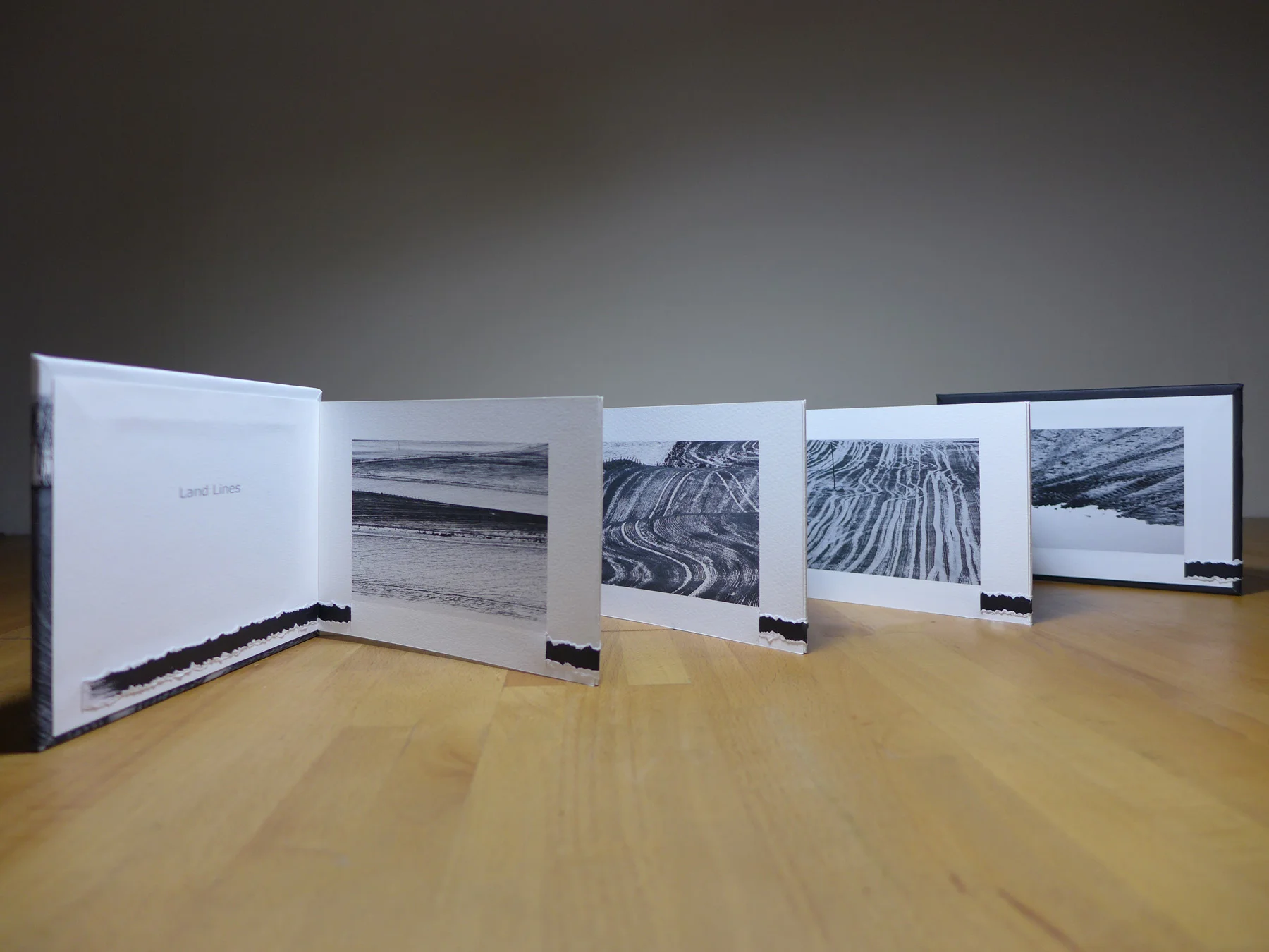Land Lines concertina book