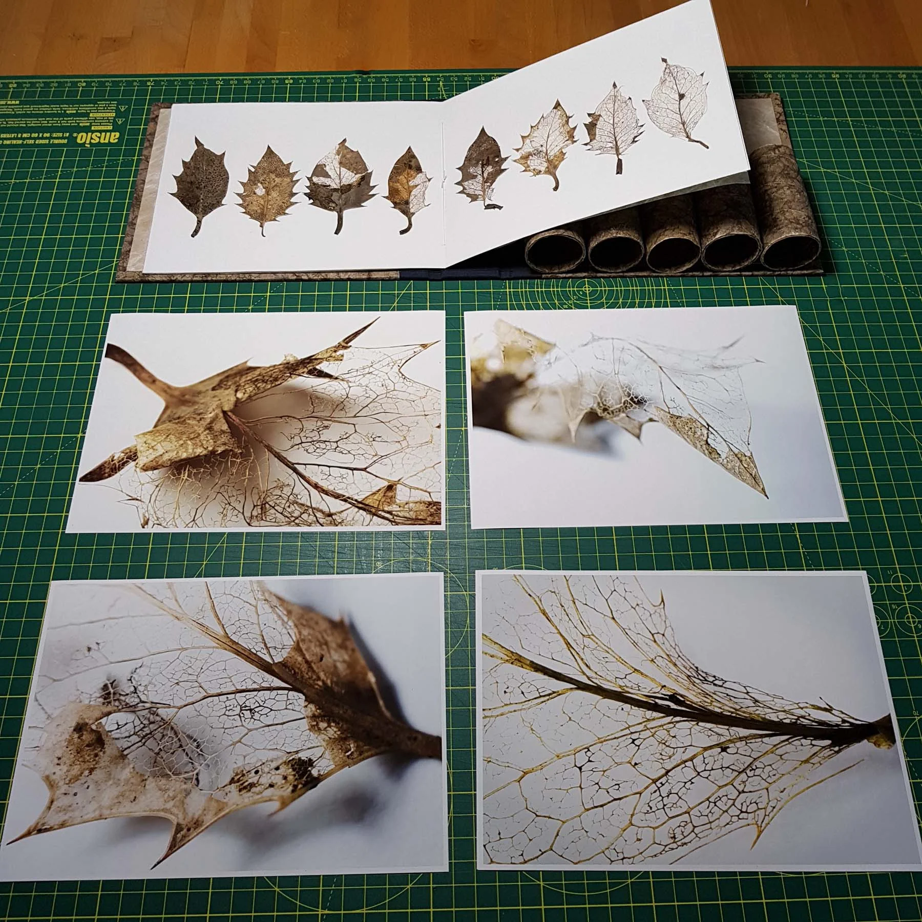 'Venation' scroll photographic prints included artists' book.