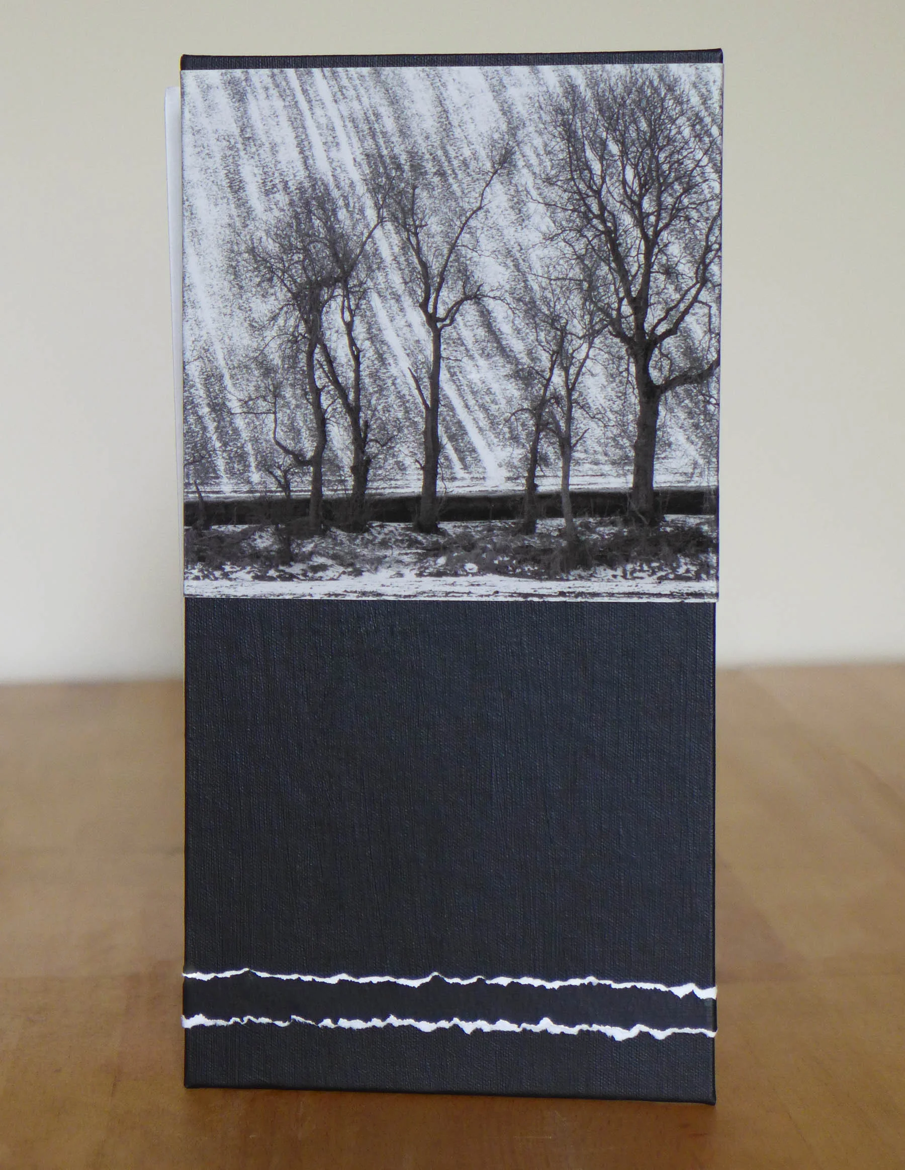 Tree Line Flag book cover