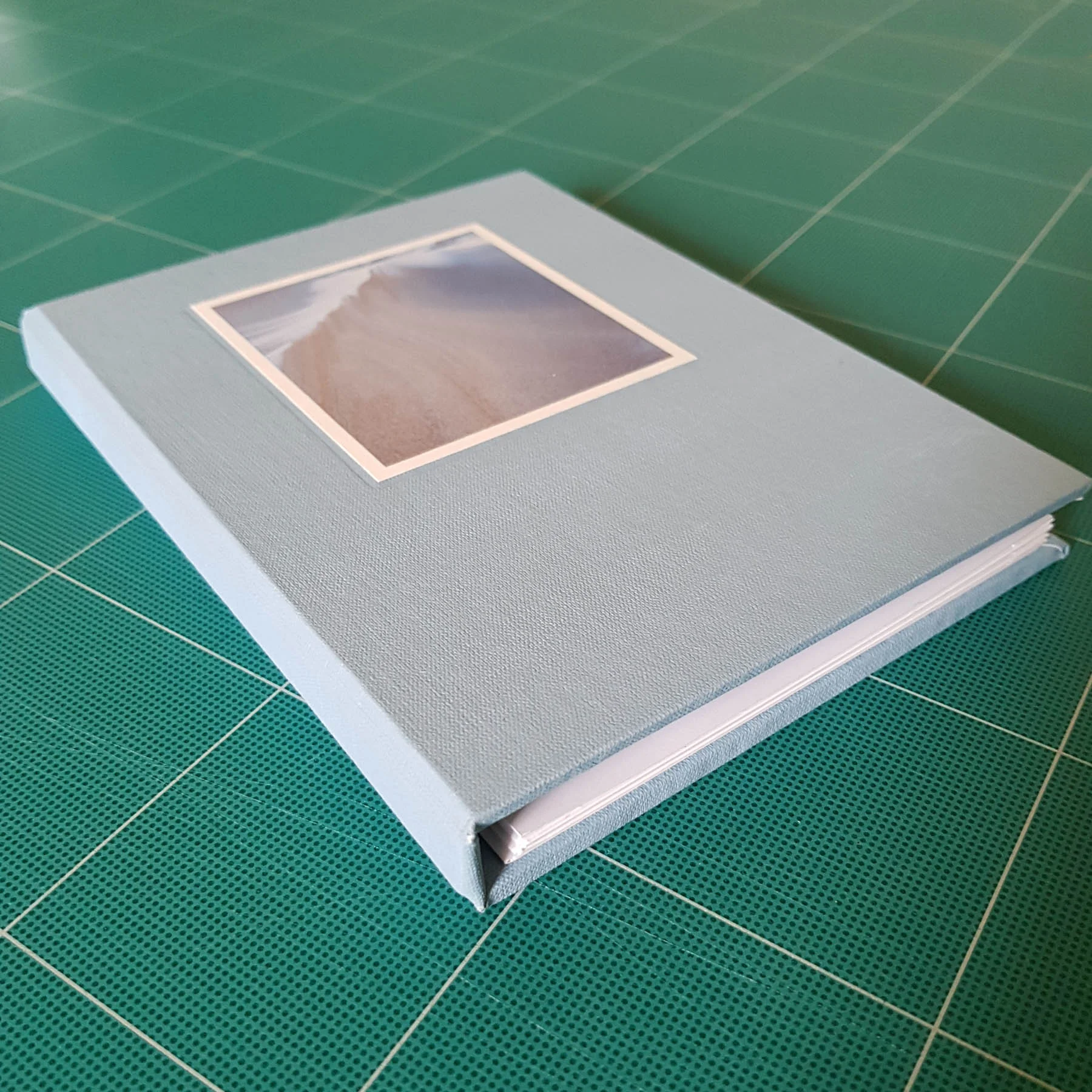 Frosted Sands book cover