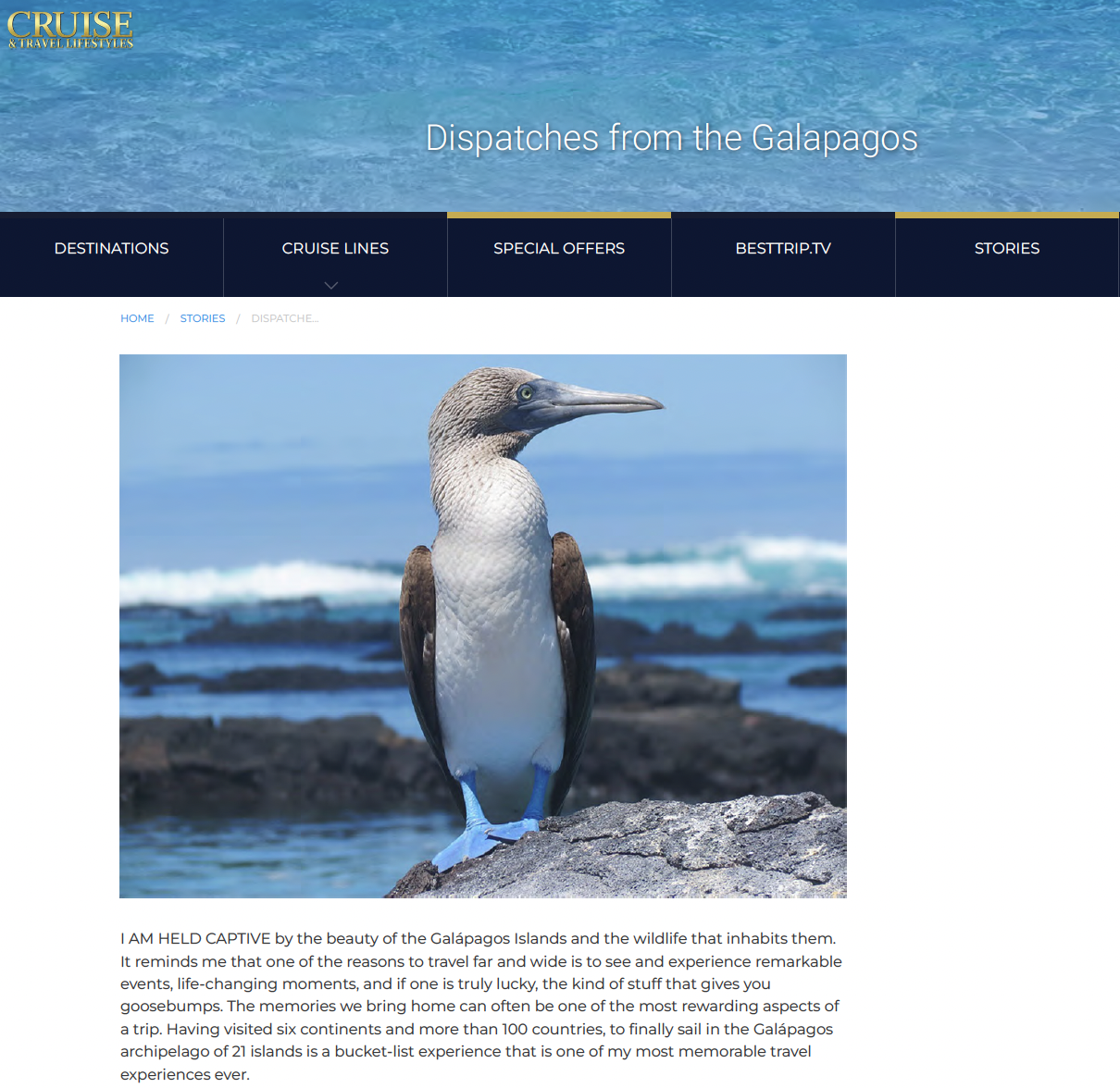 CRUISE &amp; TRAVEL LIFESTYLES