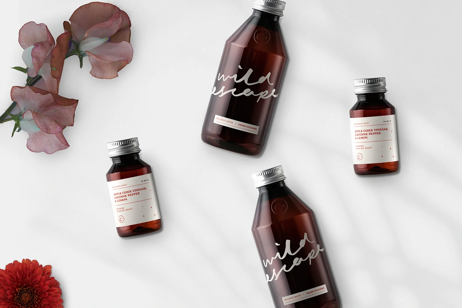 WildEscape-Bottle-Packaging-Design.jpg