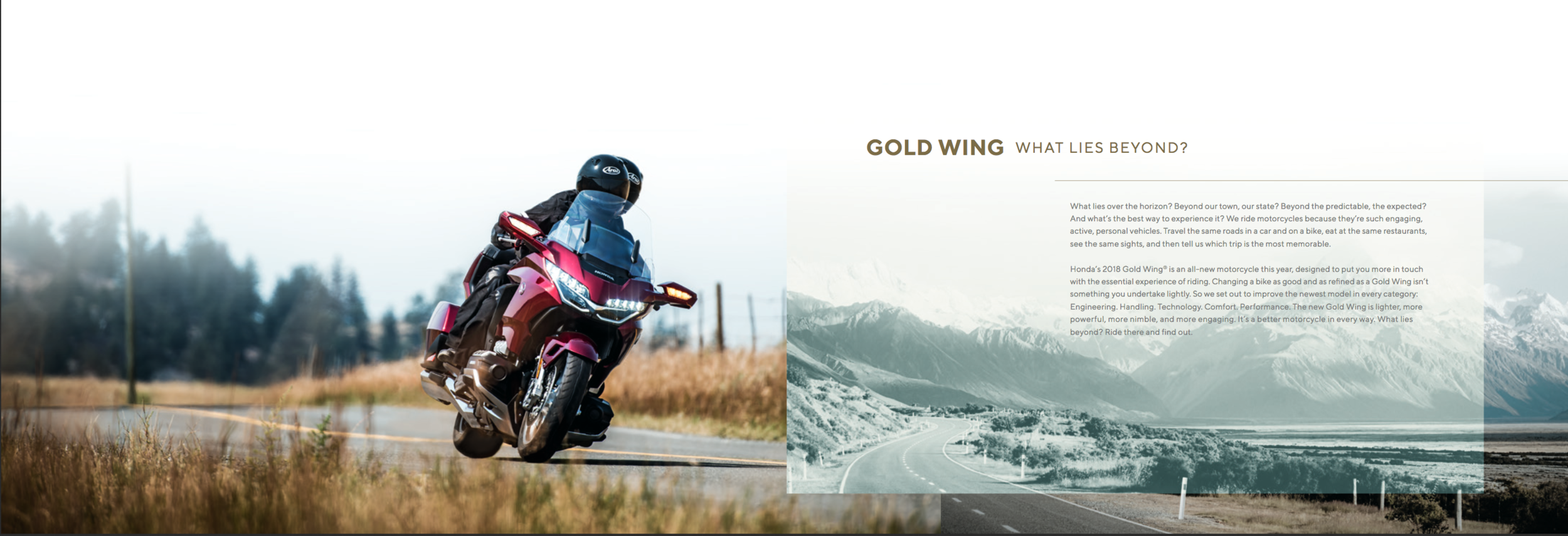 Gold Wing