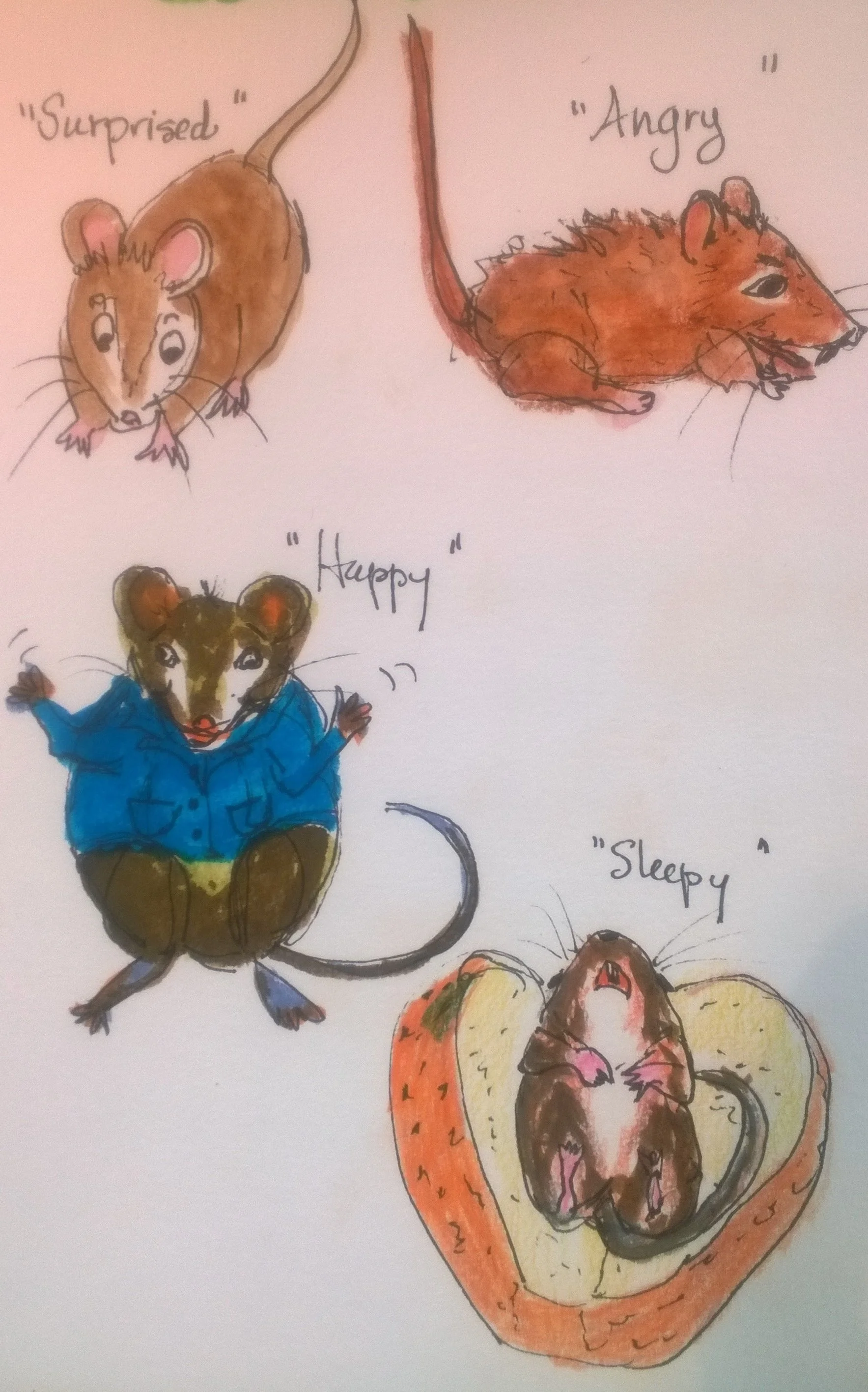 I am in between travel sketchbooks right now, so that I would share some of the playing that I have been doing this summer in the Whimsical Genre. My granddaughter is turning 3 next week. She loves hearing stories and telling stories, animals of all sorts, so I thought it would be fun to explore some illustrations of the animals we imagine in out stories. Mice are a favorite!