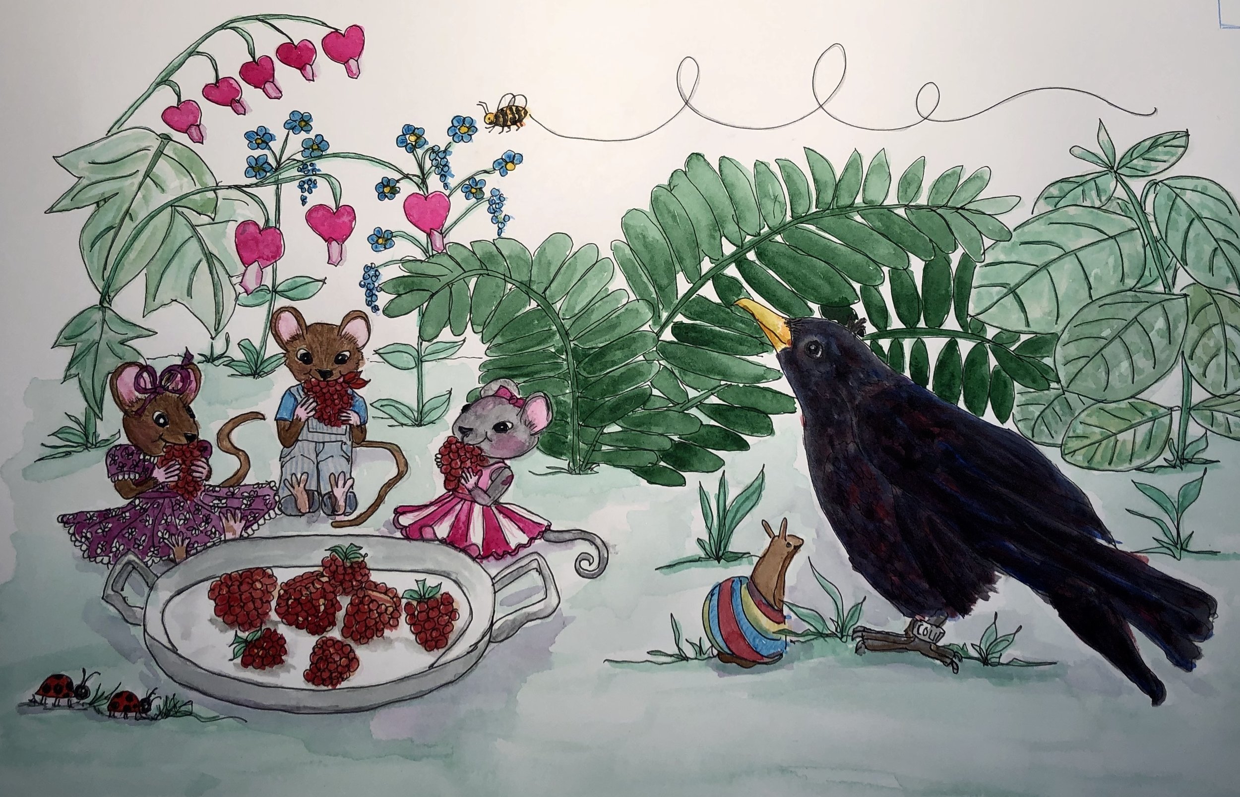 I’ve been working hard over the last month adding more pages to the story of Morely, Lavvendar and Pinkney! Now let me introduce Colin Crow! This smart and friendly fellowc saved the day for Morley and his sisters! I have enjoyed learning more about crows, watching my neighborhood crows as trough they go their daily routines when! I’m excited to see my raspberry stalks are putting out their flower buds, a promise of yummy berries to come!