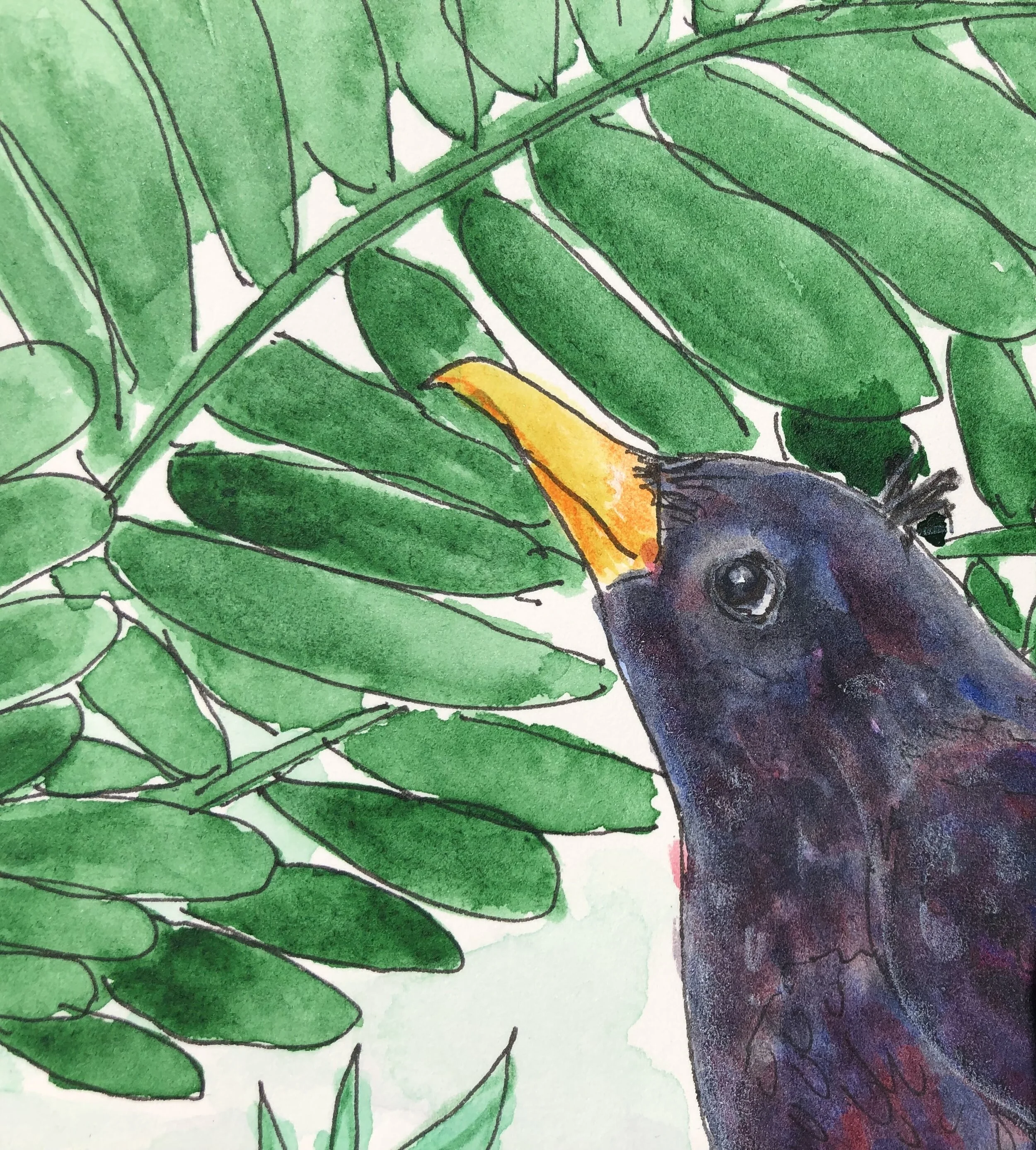 Morely, Lavender and Pinkney 077.JPG