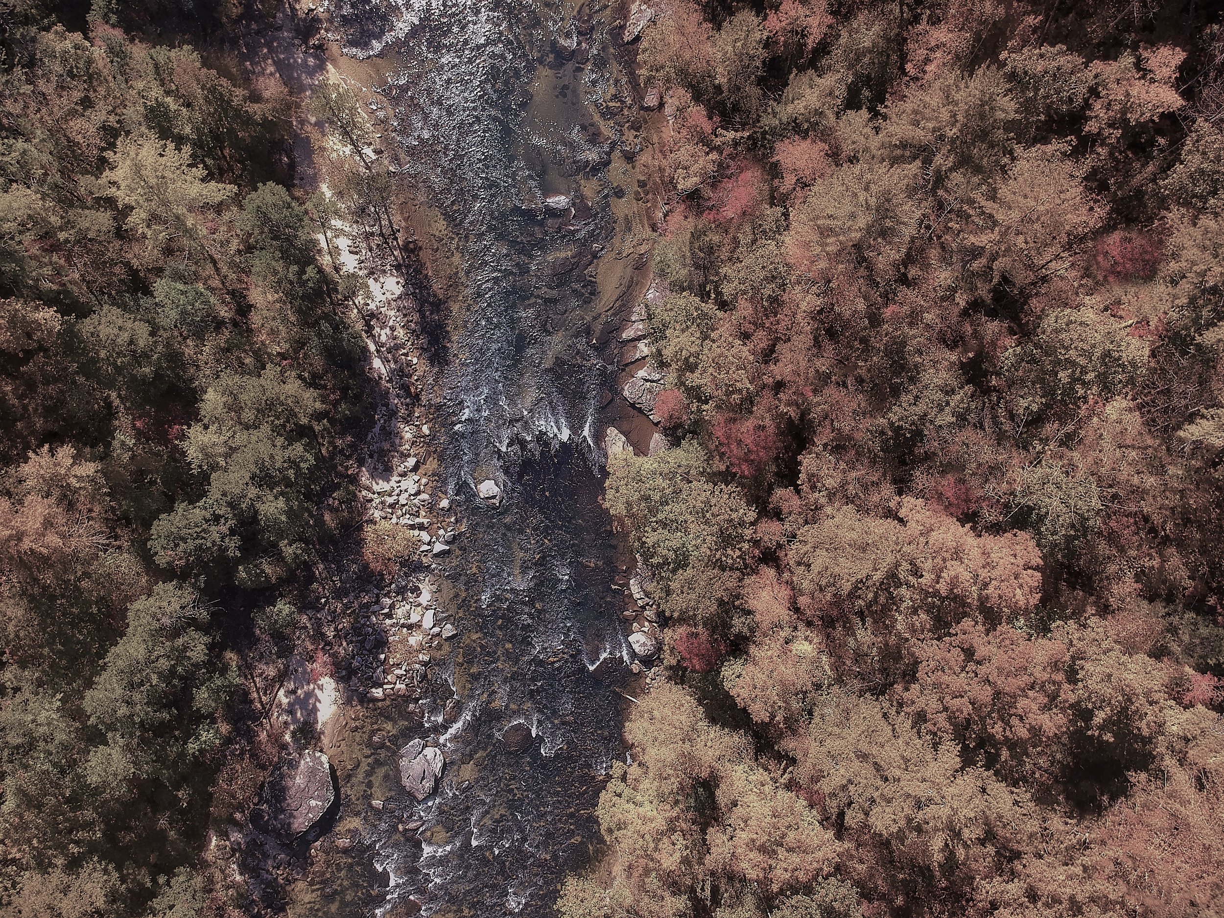 aerial-shot-autumn-autumn-colors-1559708 (1).jpg