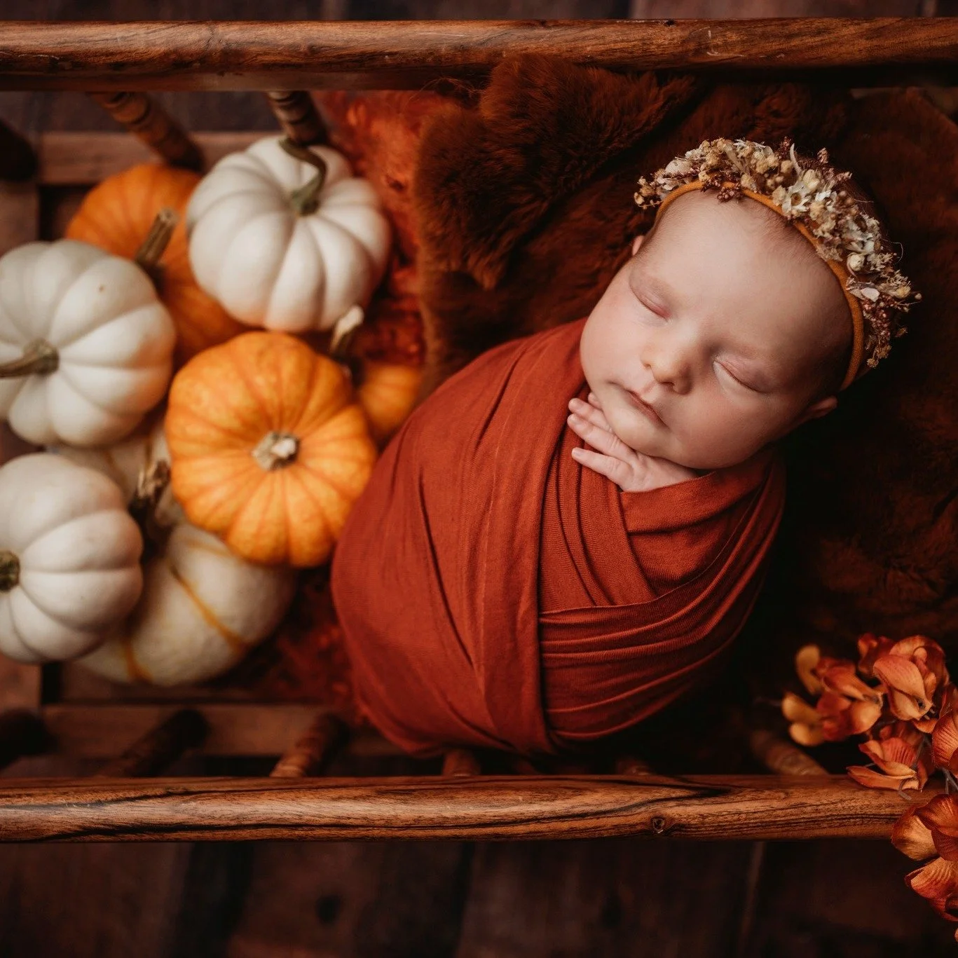 The cutest little pumpkin! I just love fall colors. I can't lie, I use them all year. I always tell my clients we will do the rainbow. I love using a variety of colors that's why I send a questionnaire to know more about the nursery, colors, and thin