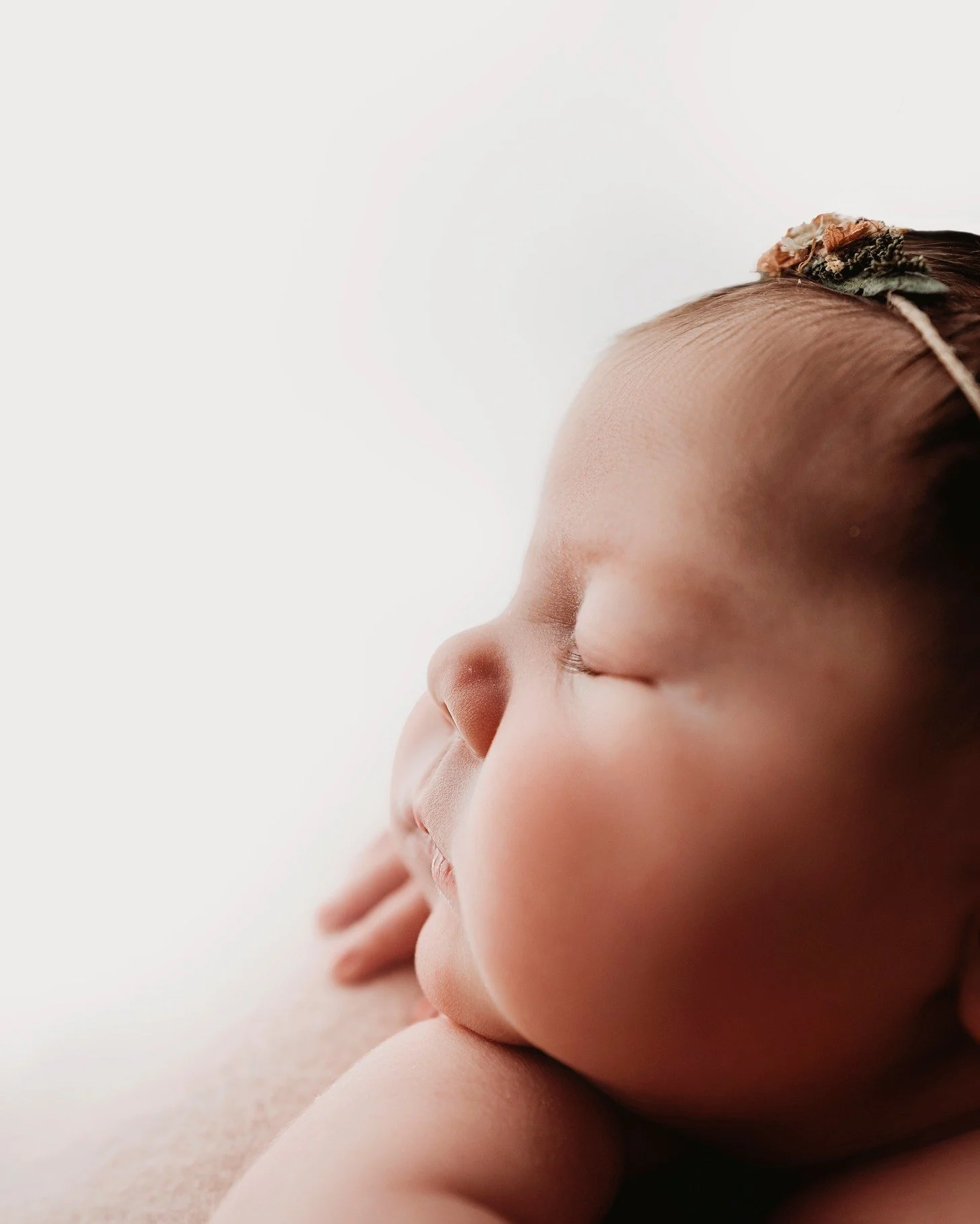 Okay, I was thinking and I'm curious. What was your biggest newborn? Mine was 11lbs. My smallest was 5lbs but she was born 2lbs and in the NICU for 90 days. Gosh, we get to capture so many incredible babies. 🥹

www.kristinabanksphotography.org