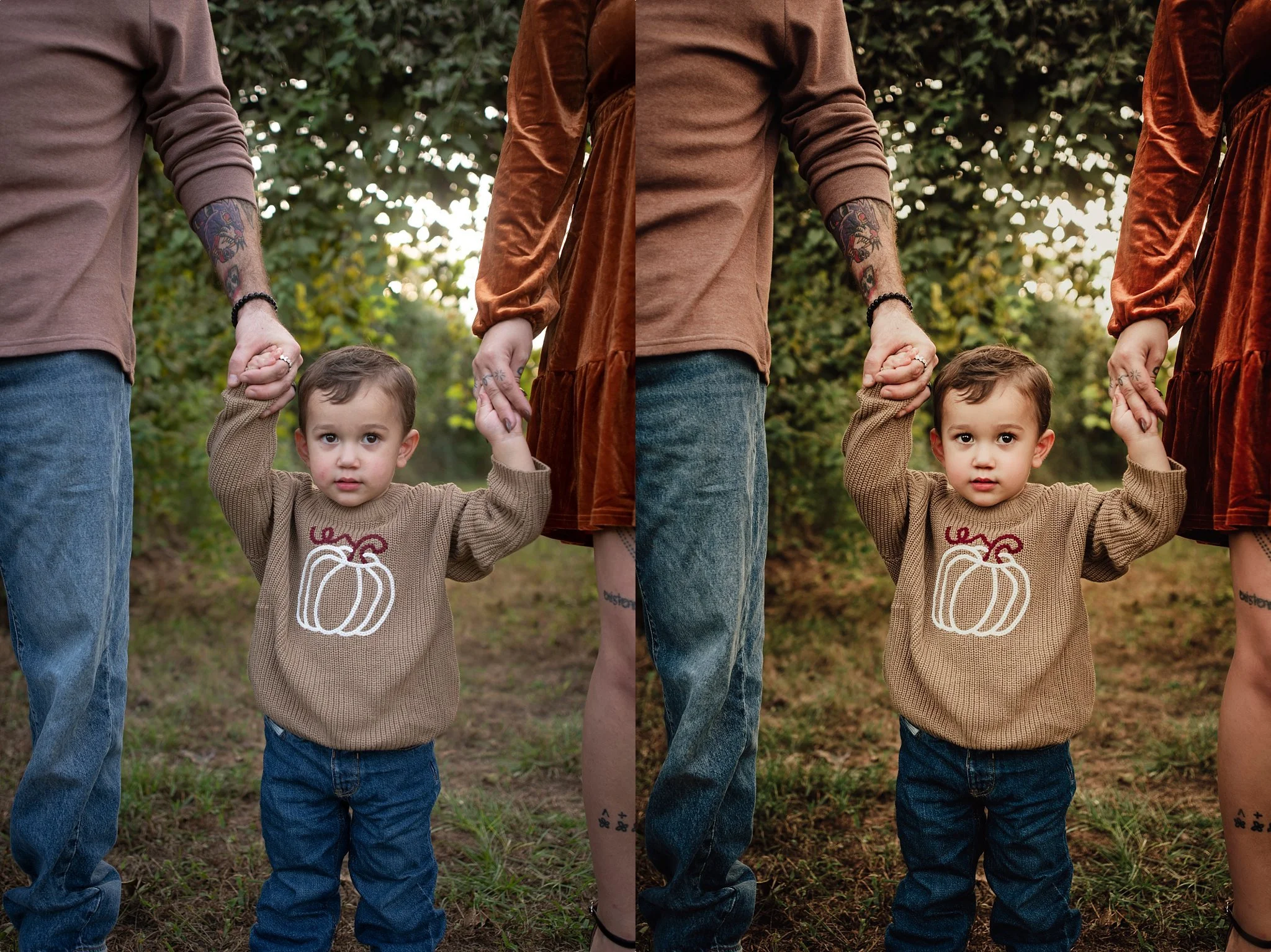 The Golden Bundle - LR PRESETS
