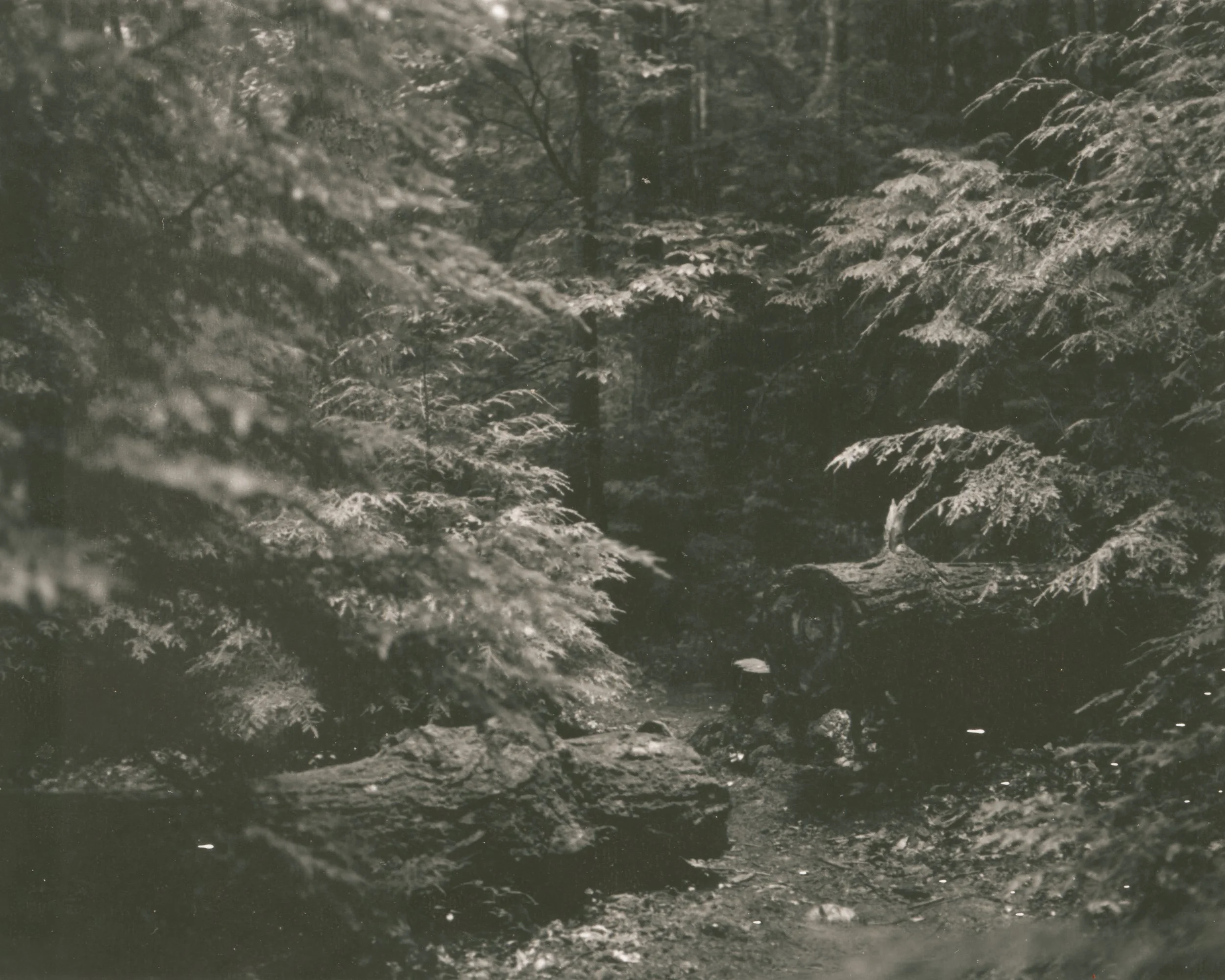 Scan 0023_LORES.jpg