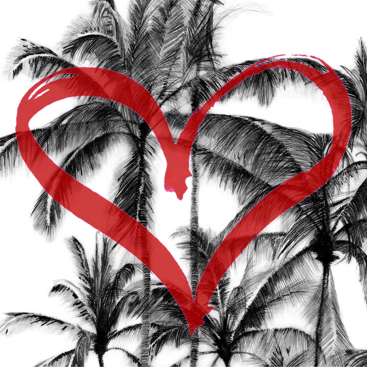 Valentines Day Feb, 14 Special menu & wine paring options. make your reservation today! 