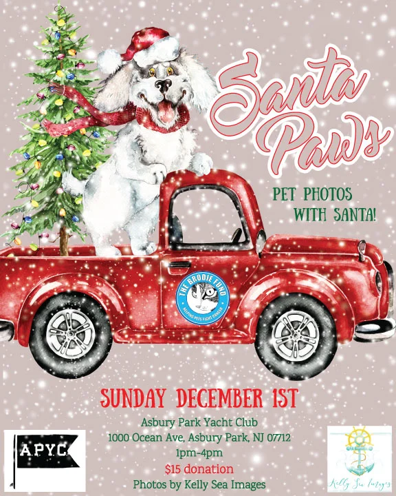SantaPawswithBrodieFund.jpg
