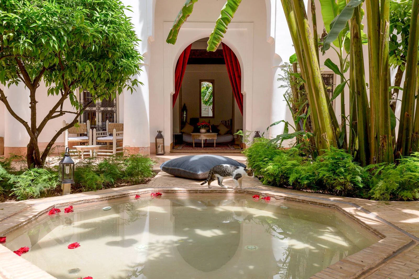 riad_berbere_marrakech.jpg