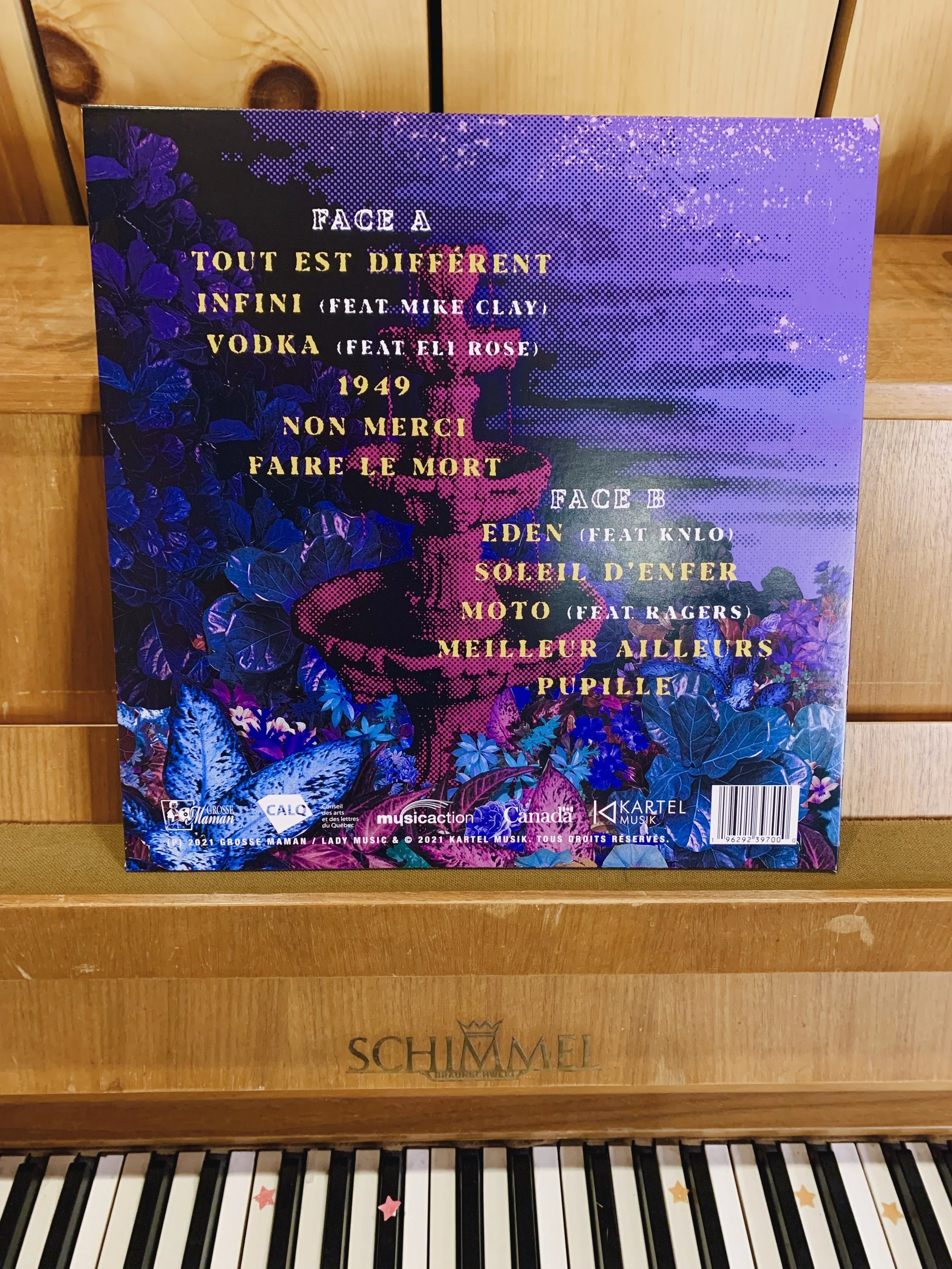 Vinyl BackCover.jpg