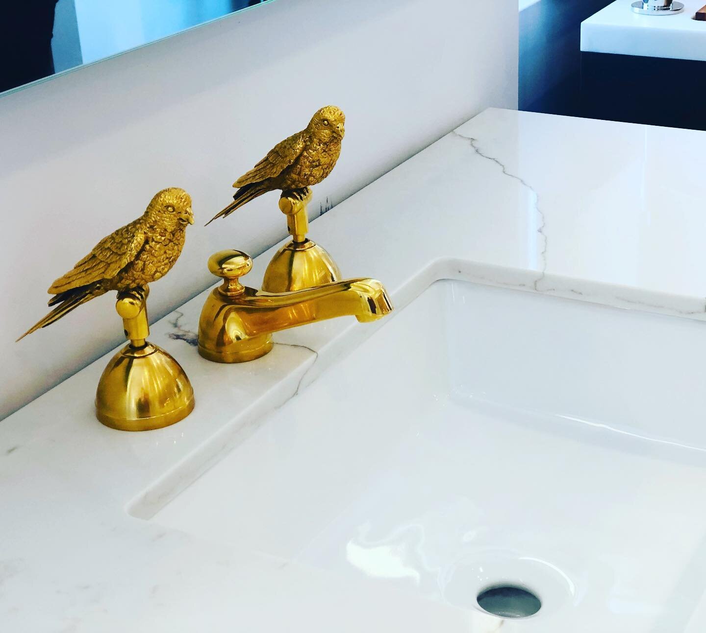 When &ldquo;put a bird on it&rdquo; works with plumbing!  #gaudylove #yes #designlife