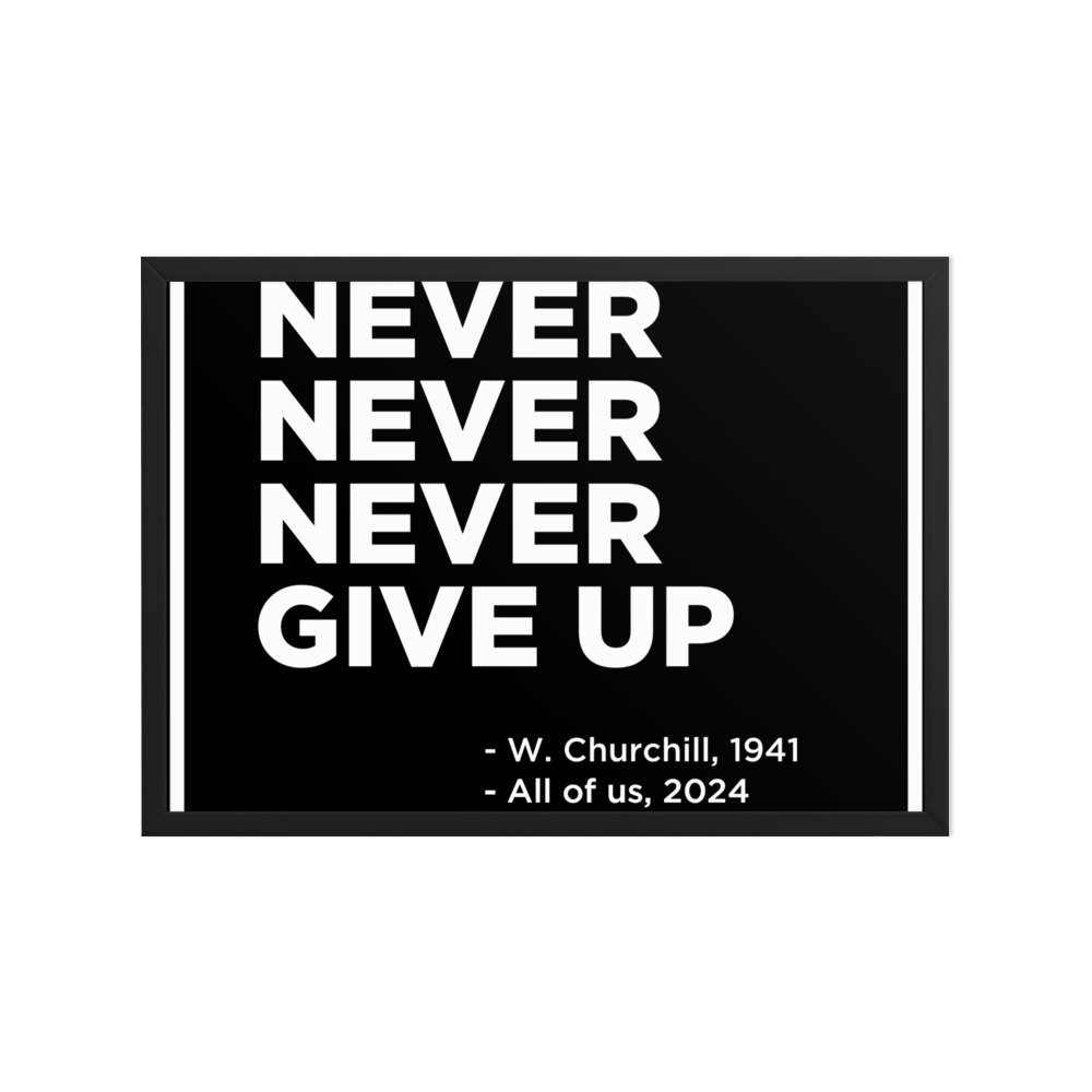enhanced-matte-paper-framed-poster-(cm)-black-a1-(59.4x84.1-cm)-transparent-674004501a61a.jpg