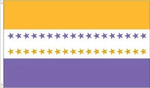 Woman Suffrage Media Project