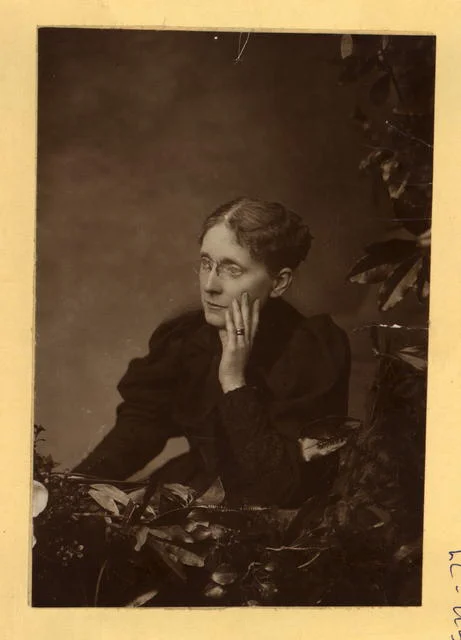 Frances Willard, half-length portrait, seated, facing left]