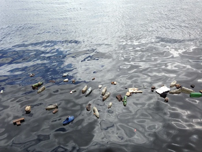 plastics in the food system