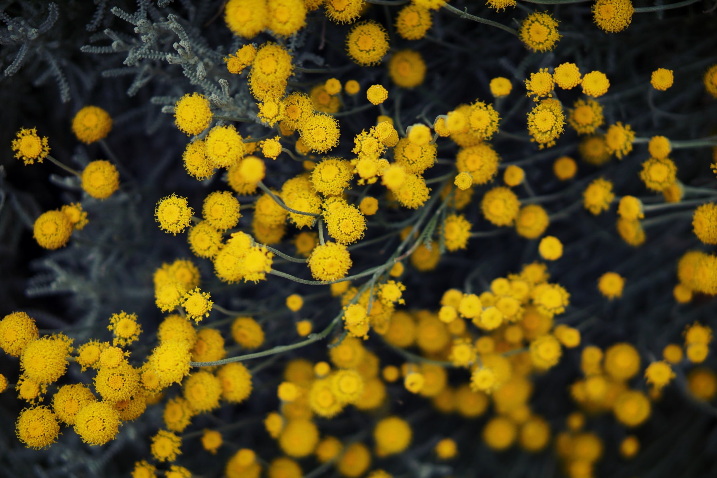 Resources for Seeds of Hope Virtual Discussion