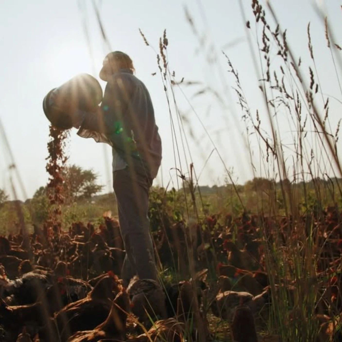 Reel Science: Common Ground at OMSI 