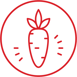 Copy of Staff Support.png