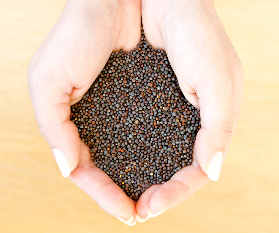 Mustard Seeds, grief, and the healing power of community