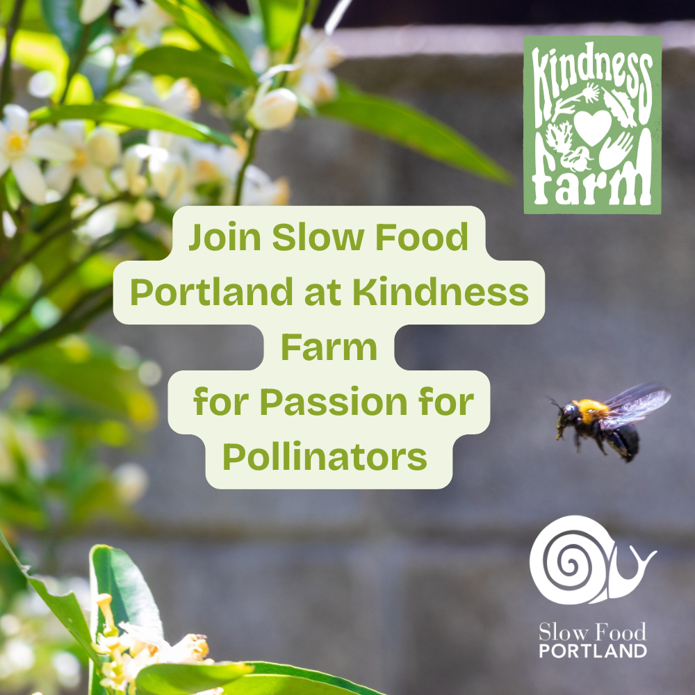 Passion For Pollinators: Hands-on workshop 