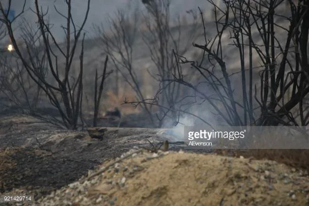 Photo by AEvenson/iStock / Getty Images