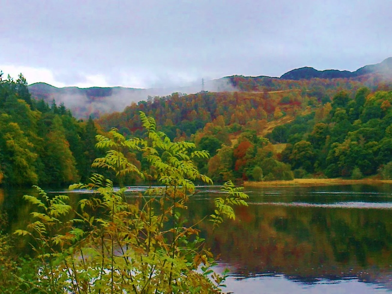 Trossachs - Tour & Walk in small groups - Roaming Scotland..jpg