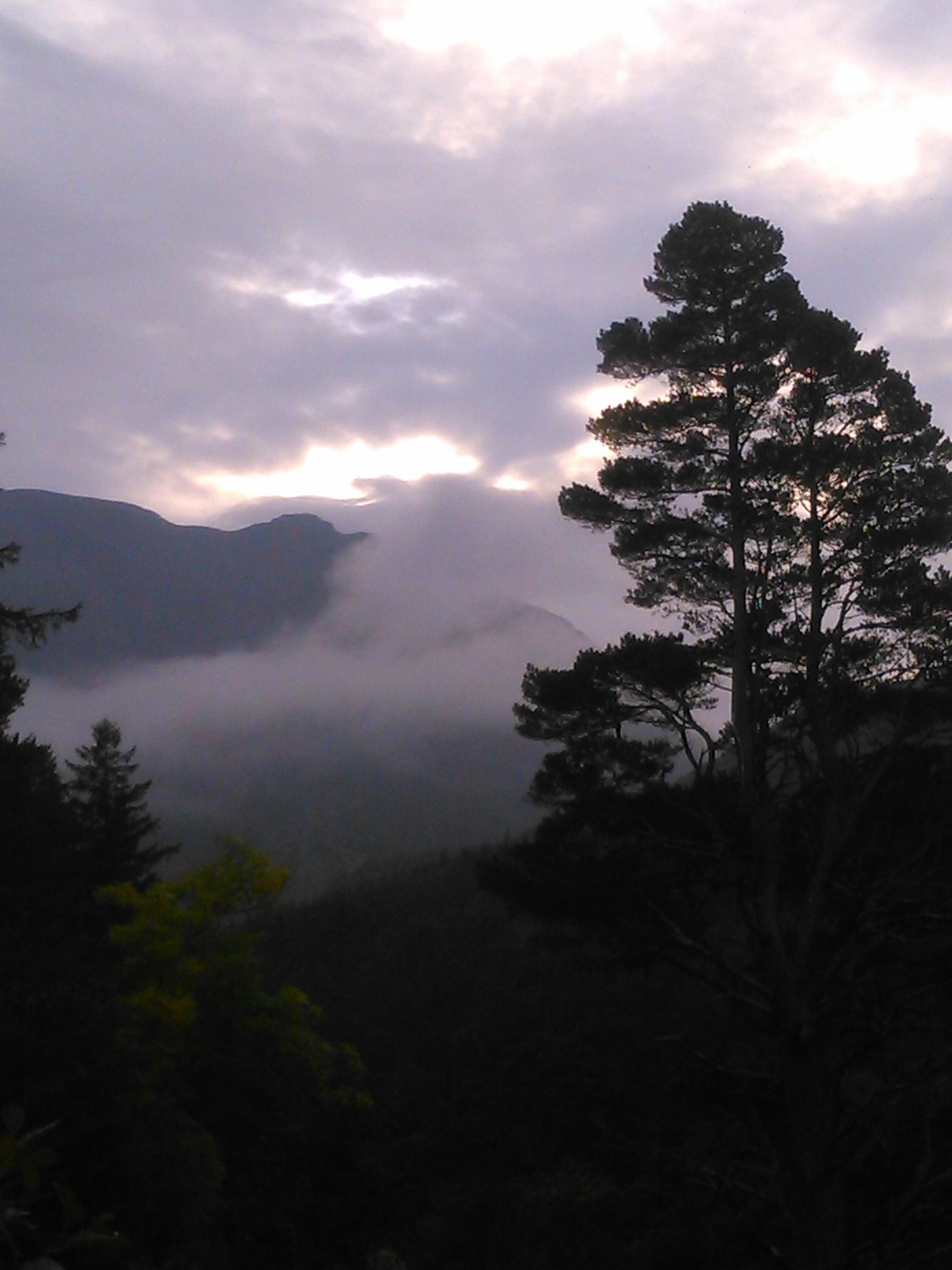 Mist in the Trossachs - Tour & Walk in small groups - Roaming Scotland..jpg
